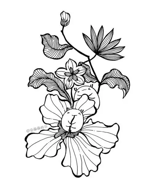 线描临摹素材,原来画画这么简单!练完这波就可以了