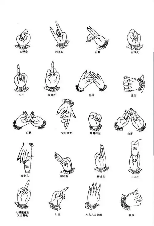 这些手势看着挺有意思的值得保存分享带点颜色会更好