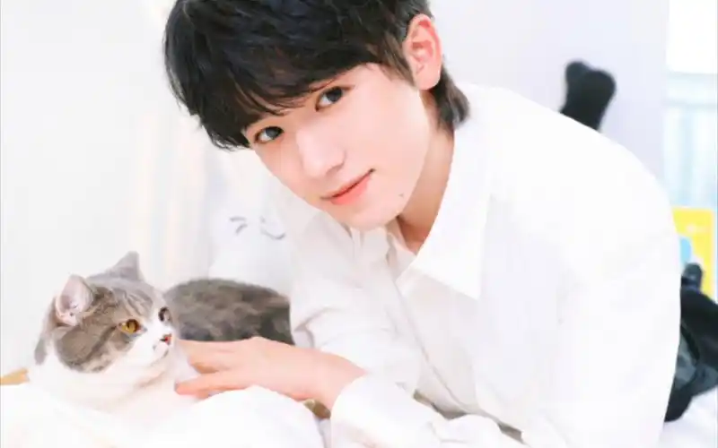 【宋亚轩】猫很可爱 你也是