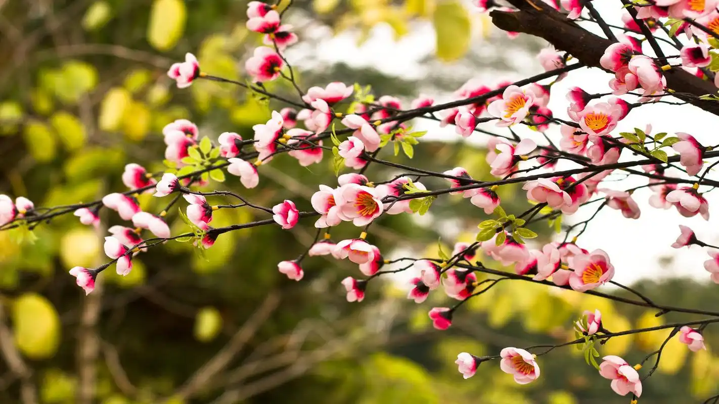 小清新唯美意境高清壁纸第八辑