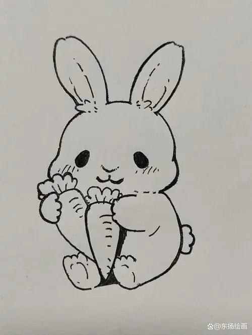 小白兔抱萝卜的绘画方法,步骤很简单