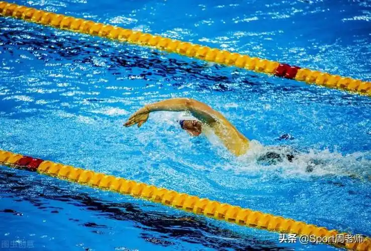 自由泳标准动作,献给正在学自由泳的您