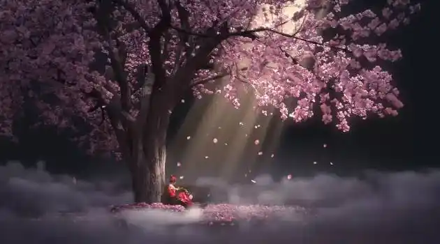 配音导演 姜广涛,曾为《琅琊榜》,《伪装者》,《大鱼海棠》的配音