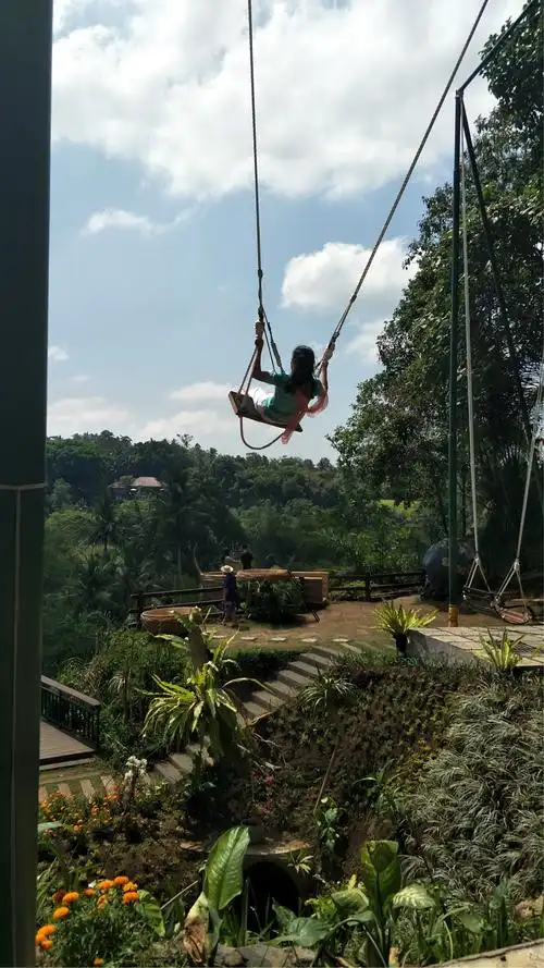 巴厘岛之旅～(第六篇)20181010网红空中大秋千&丛林鸟巢
