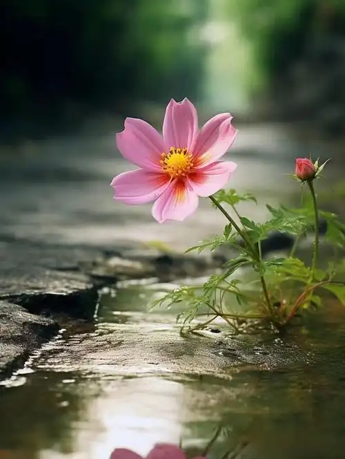 能在3个地方"装穷"的人,很不简单|生活|自制力|内心世界_网易订阅