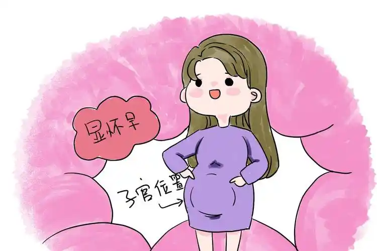 小李在怀孕六七个月时,肚子才刚刚有些显怀.