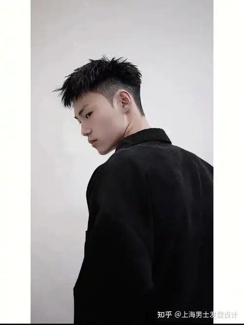 男士发型(钢夹烫前刺)