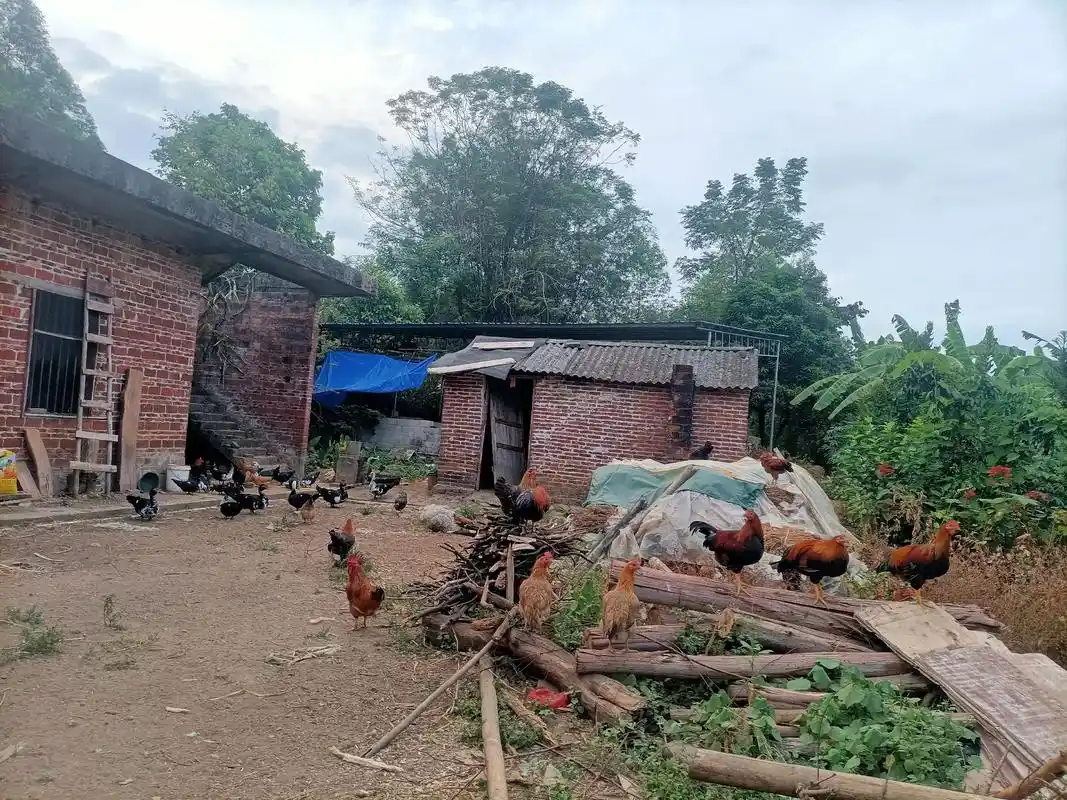 重新认识一下,广西农村人,身高155,体重98,如果你刷到我 - 抖音