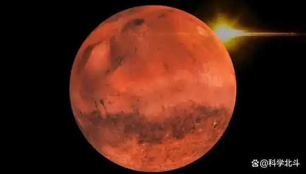 2008年nasa拍摄的火星照片其地表竟长出了树难道火星存在生命