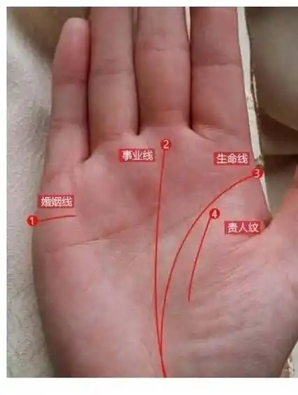 男人的手长得像女人的手命运