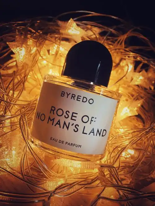 无人区玫瑰-策马奔腾的水煮牛肉