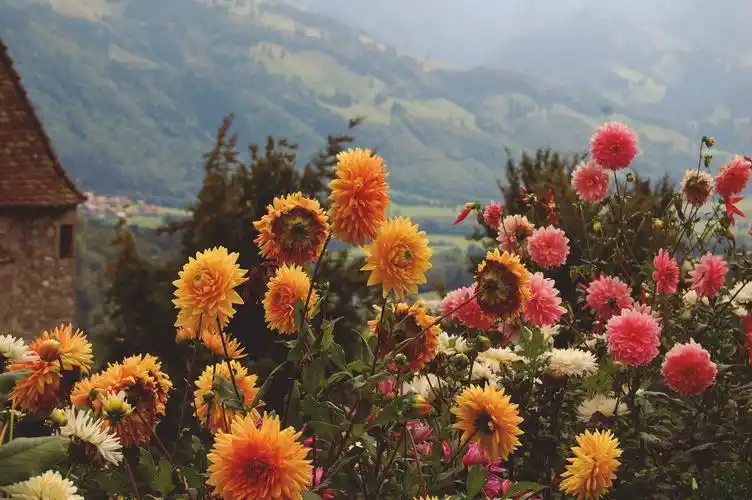 微信/ins背景 - 堆糖,美图壁纸兴趣社区