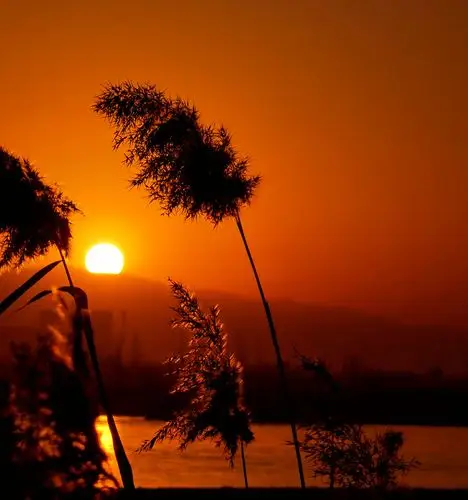 昨天傍晚浏览黄河边上,夕阳西下,余晖正浓,于是就拍下了几张醉美图片