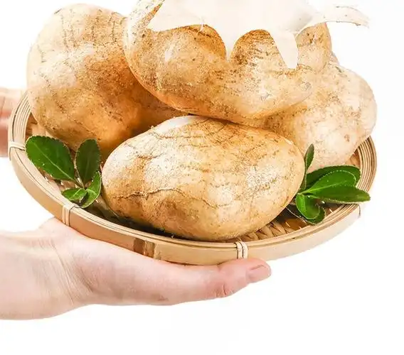 湖北特产新鲜凉薯白地瓜甜脆土瓜沙葛地萝卜番薯地梨25kg新鲜蔬菜