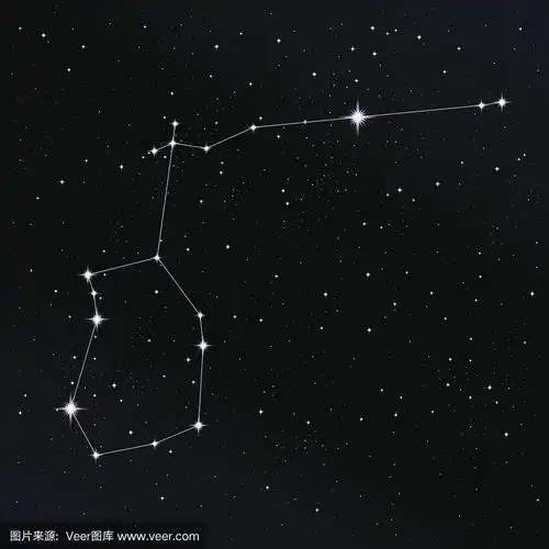 水瓶座的星座