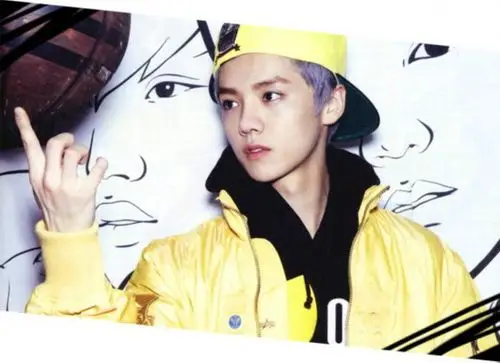 磅推出的男团exo的一员,土生土长的北京人鹿晗有着无可匹敌的至尊萌貎