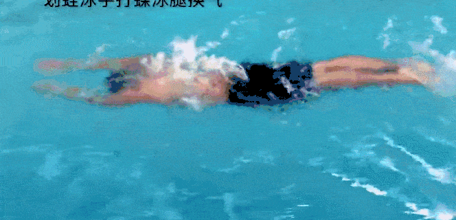 梦觉丨蝶泳(四)打腿和换气的配合