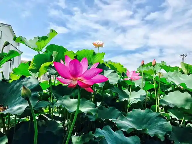 走过春夏,走过风景