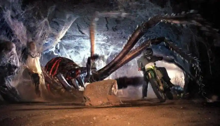 未来5部蜘蛛电影,特警大战狂暴蛛潮,小女孩收养外星怪物_维塔_夏洛特