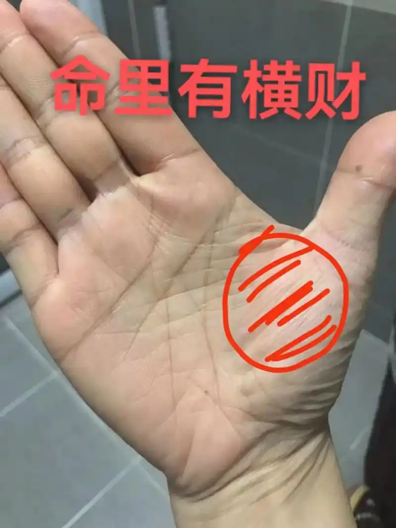 掌纹的秘密 #手纹  这几款手相有大财出现,命里有横财,一 - 抖音