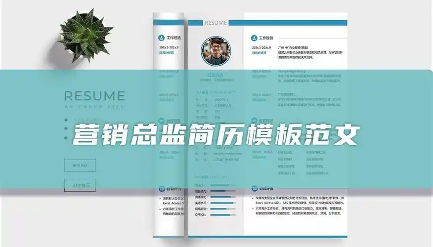 营销总监简历模板范文(高管篇)