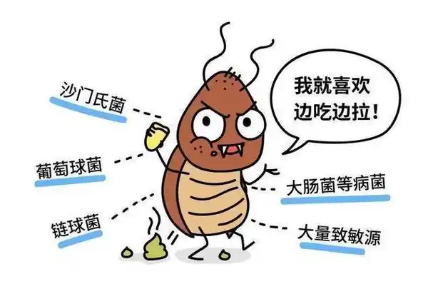 九成人不知蟑螂天敌是啥家里面放1个它蟑螂跑光光了