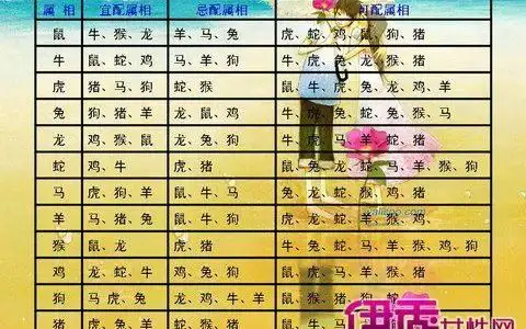 哪些属相是上上等婚配