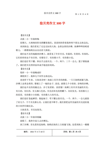 捡贝壳作文300字.docx 4页