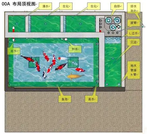 三维锦鲤鱼池建造步序图鱼友鱼池过滤必读