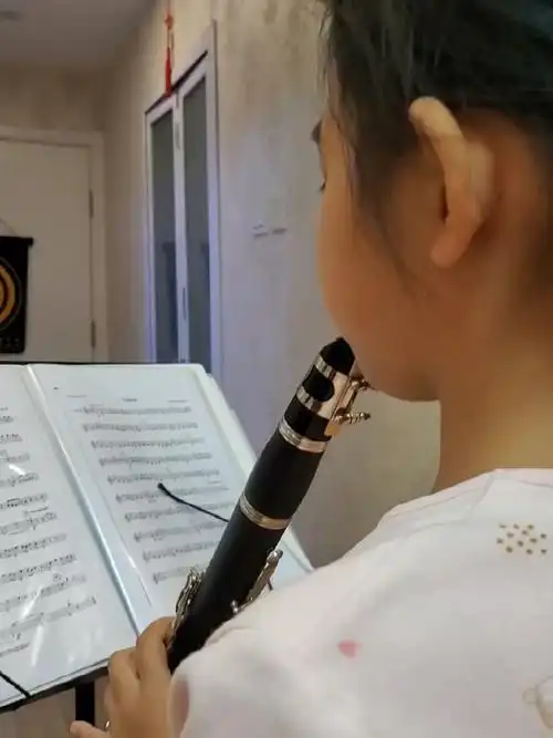 黑管打卡第55天一遍就吹下来了速度120