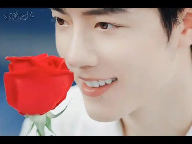 手拿玫瑰花的肖战
