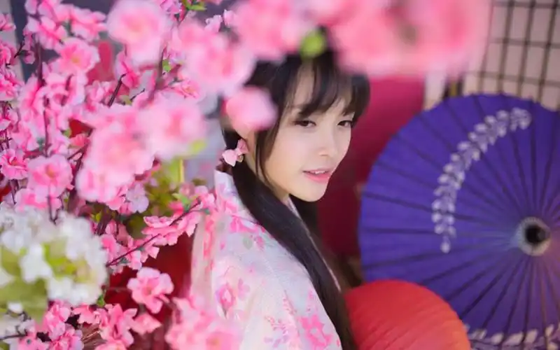 古风复古白皙甜美 内容简介 日系高颜值和服美女写真高清桌面壁纸
