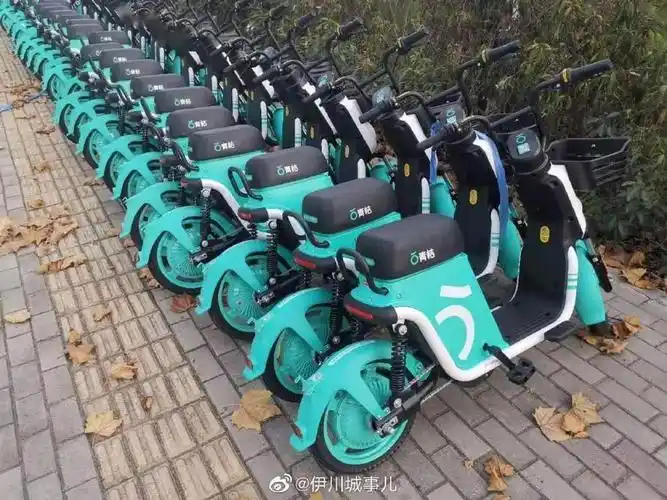 伊川人青桔电单车伊川分公司招聘综合运维人员