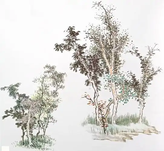 夹叶树与点叶树组合:以一株夹叶树和四株点叶树组成树丛时,树梢要画得