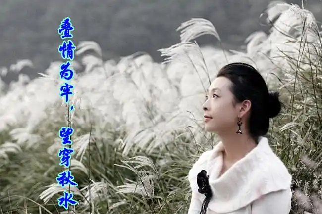 叠情为牢望穿秋水