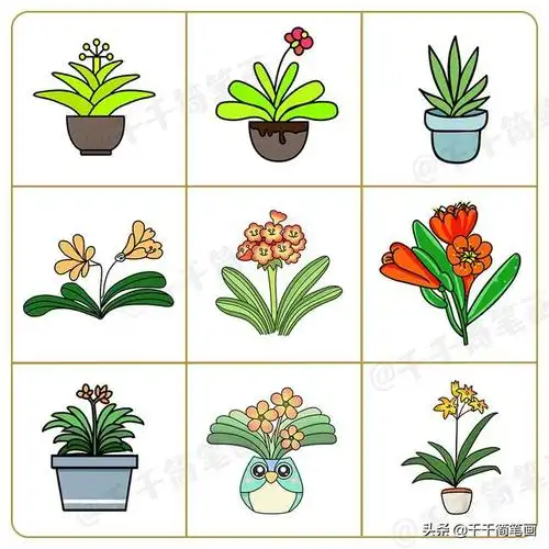 200组花花草草简笔画图片,简单明了又清新,一看就会