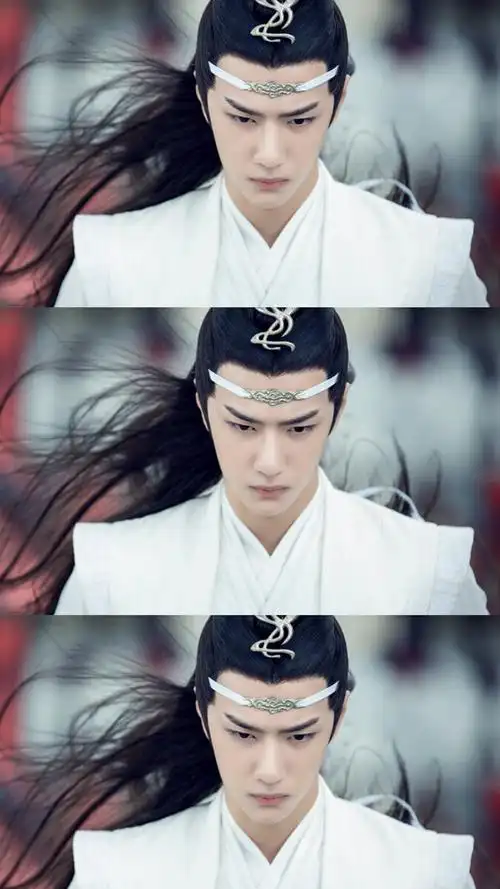 陈情令蓝忘机问灵十三载等一不归人