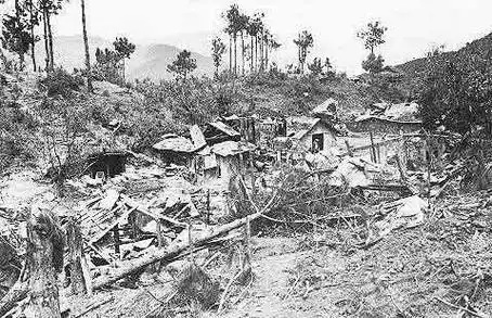 罗东辉对越作战头部中弹坚持战斗破格提拔被重用后来怎样