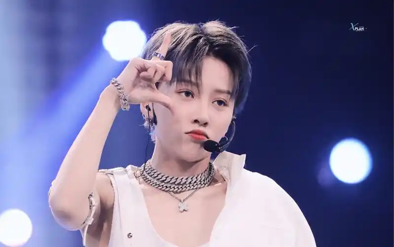 搬运刘雨昕alittlebit总决赛直拍