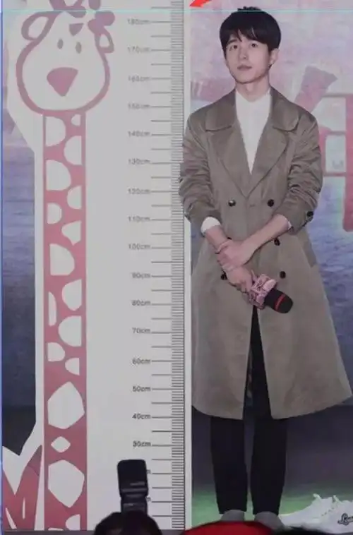 身高第二弹这回邓伦杨紫火箭少女的身高都暴露了