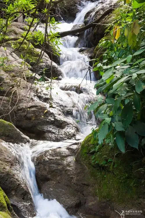 d90 18-105下的山景