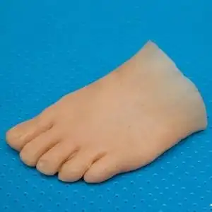 假肢脚皮
