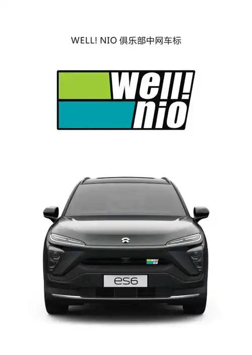 这是我们宁波蔚来车友自己设计的车标