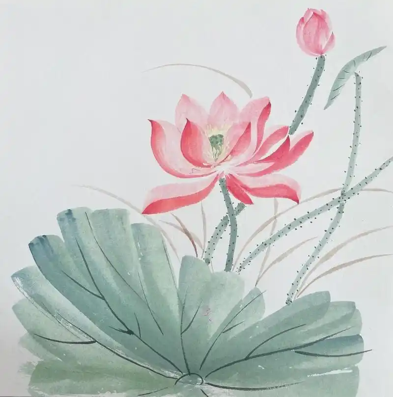 国画荷花荷叶的画法步骤教程 画国画调色很重要,毛笔颜色调对了你画