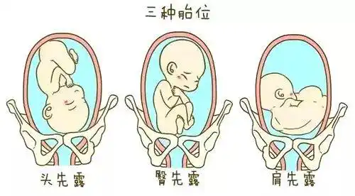 怀孕期间,孕妇会比较好奇胎心音的位置,一般来说,怀孕16周后,孕妇能用