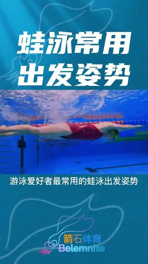 蛙泳常用出发姿势0基础游泳教学 游泳 游泳健身