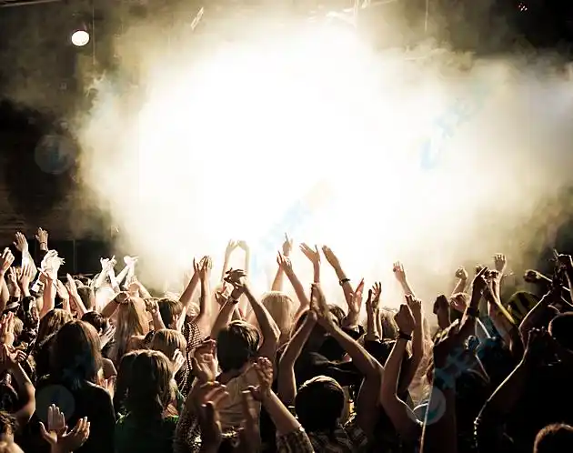 演唱会激情观众高清图片下载-找素材