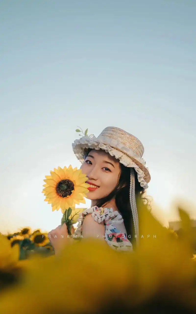 巴彦淖尔葵花田让阳光洒满自信微笑的你!