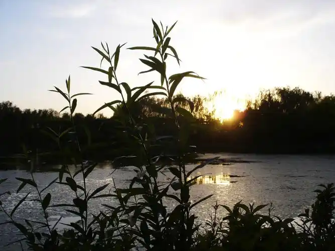 生活中身边的风景一样美.