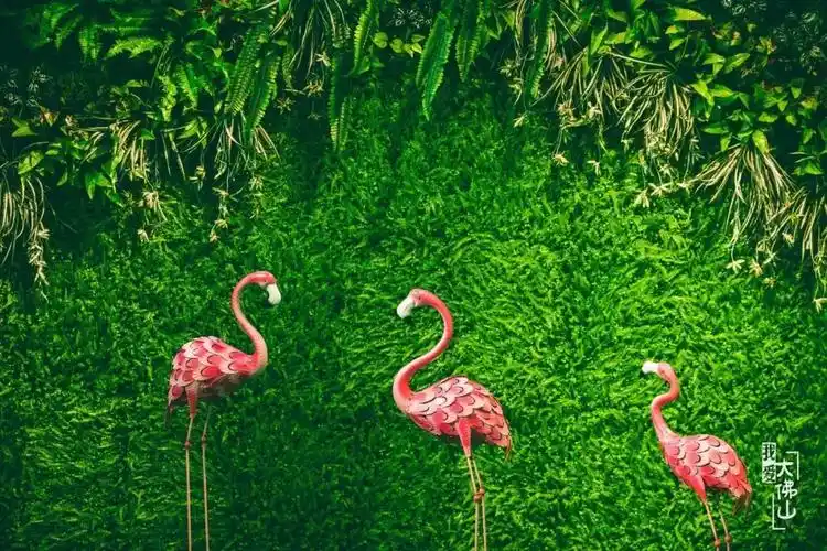 hicolor刷爆抖音的彩色风暴强势来袭网红打卡圣地就是ta